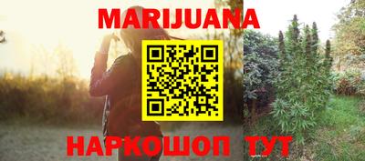 МДПВ Новозыбков