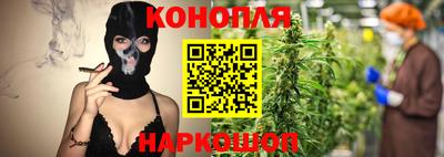 МДПВ Новозыбков