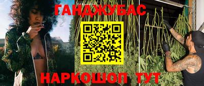 МДПВ Новозыбков